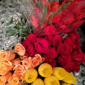 Meet your Posher, Claudia